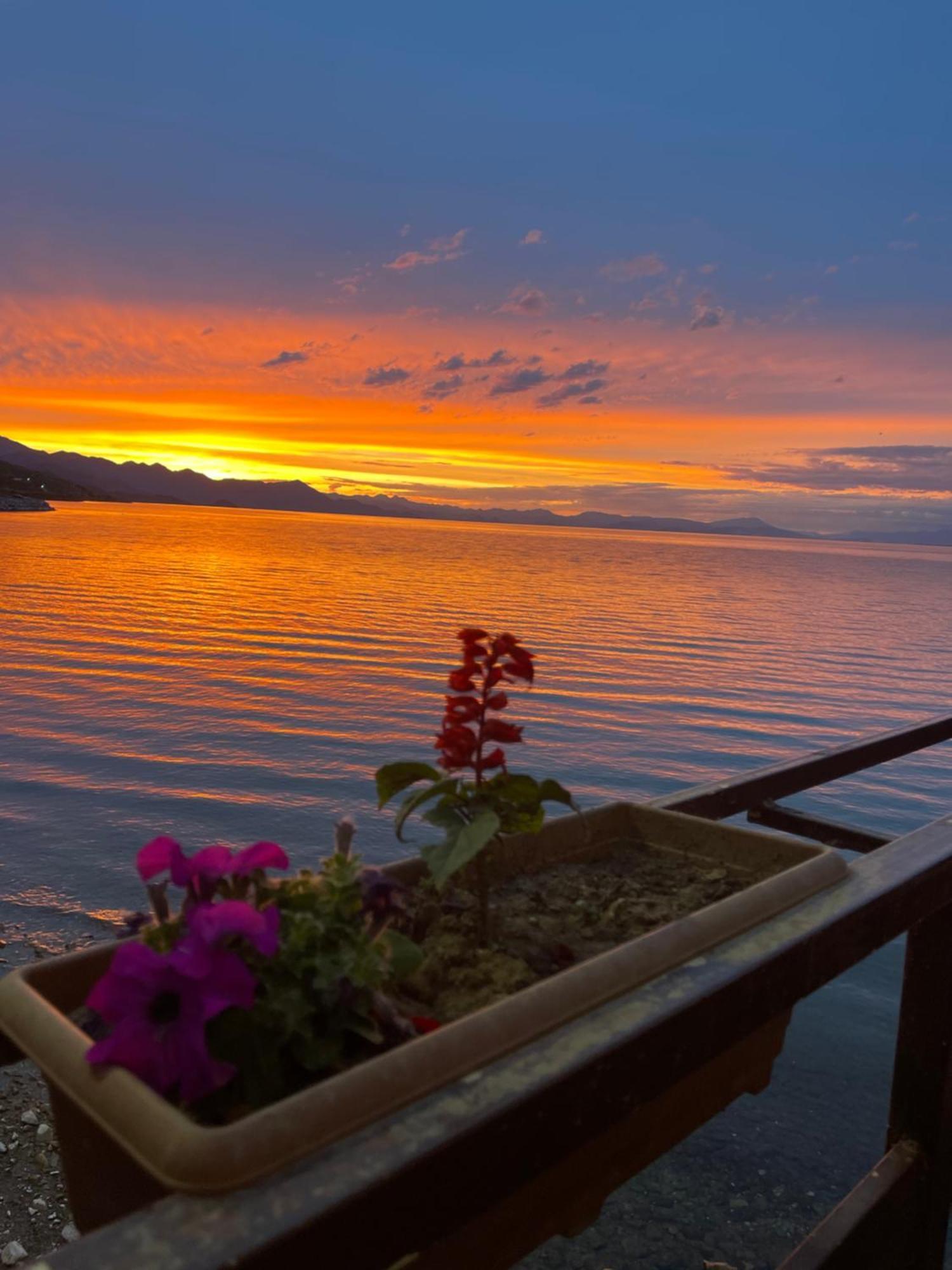 Four Generation Hotel Shiroka Ngoại thất bức ảnh